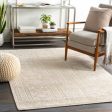 Livorno Rugs For Discount