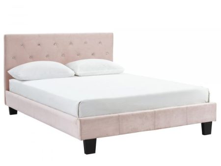 Jazelle-54  Platform Bed-Blush Fashion