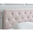 Jazelle-60  Platform Bed-Blush Fashion