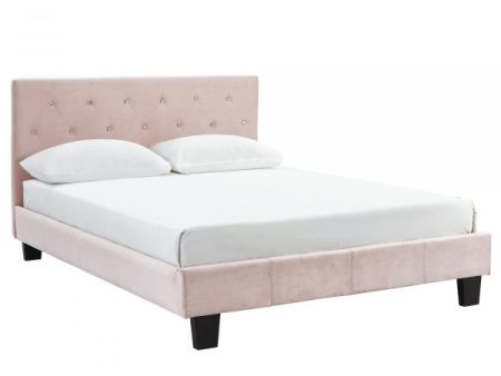 Jazelle-60  Platform Bed-Blush Fashion