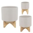 11  Planter W  Wood Stand, Matte Beige Online Sale