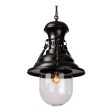 Brandt Pendant Lamp Black Online now