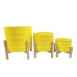 10  Striped Planter W  Wood Stand, Yellow Supply