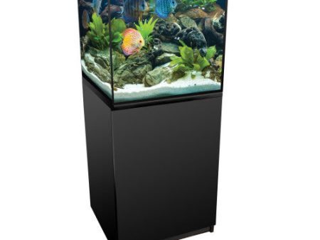 Aquatop FORZA Cube Tank Kit 1ea 40 Gallon by Aquatop For Sale