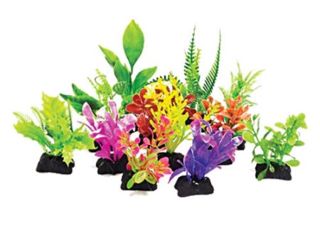 Aquatop Aquarium Plants Mix Assorted, 1 Each 3 in, 12 Pack by Aquatop Online